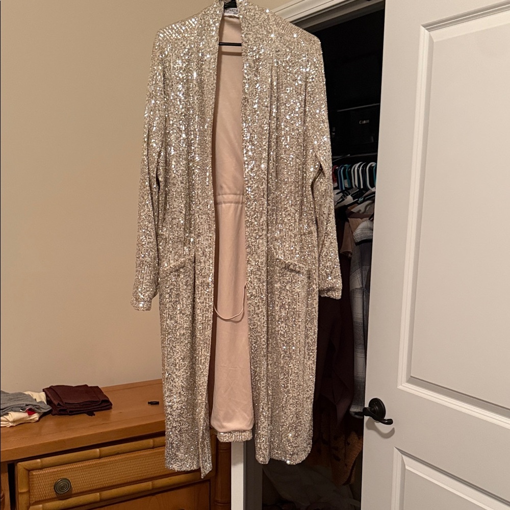 BB Dakota Silver Sequin Blazer